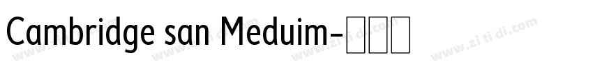 Cambridge san Meduim字体转换